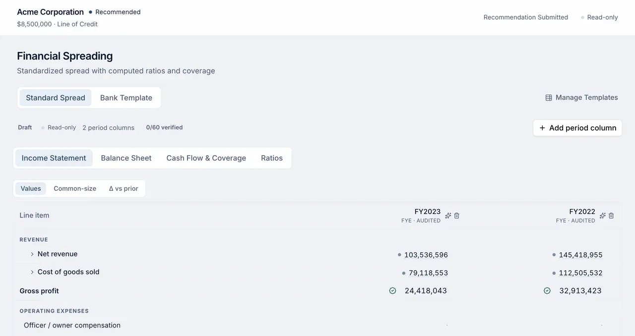 Financial Spreading preview